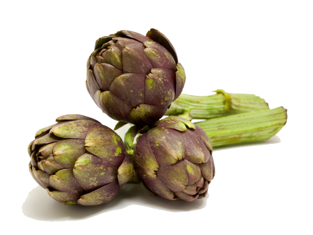 Artichokes Free Download Transparent PNG Image