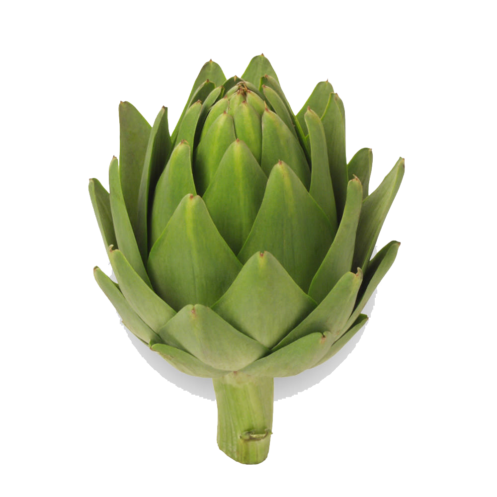 Artichokes Picture Transparent PNG Image