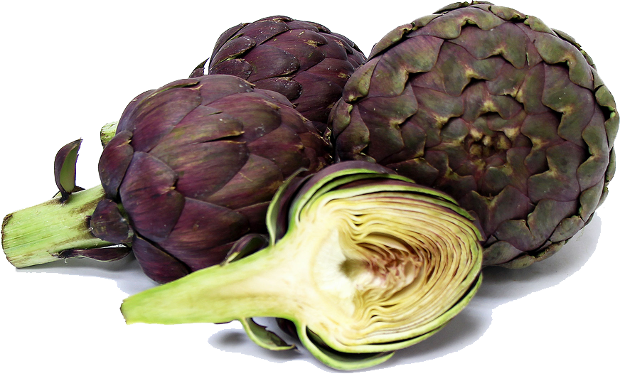 Artichokes Photos Transparent PNG Image