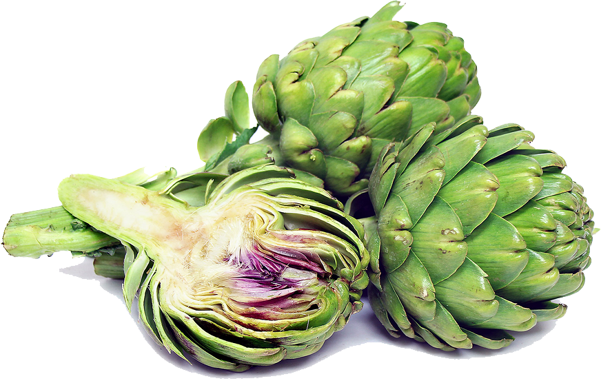 Artichokes Transparent Image Transparent PNG Image