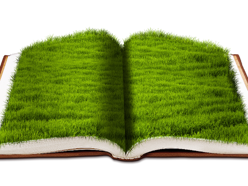 Grass Book Artificial Free PNG HQ Transparent PNG Image