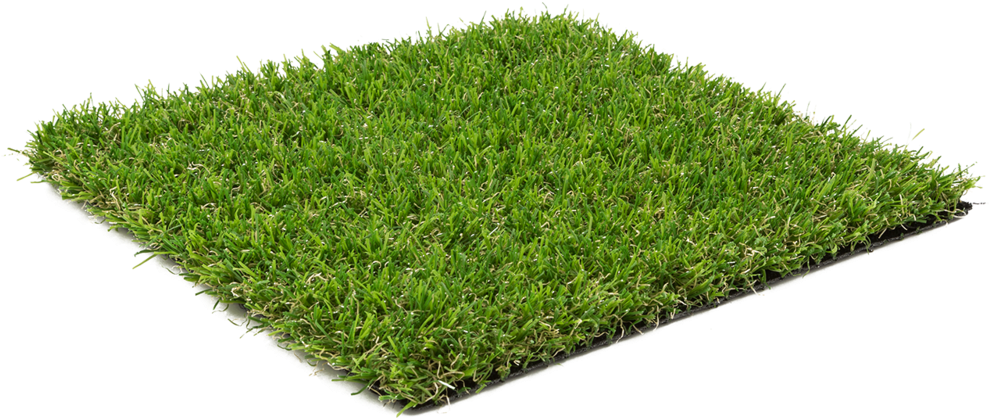 Small Grass Artificial Free HD Image Transparent PNG Image