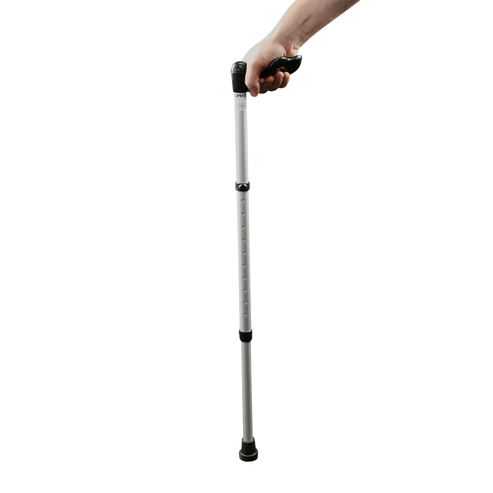 Walking Stick HD PNG Download Free Transparent PNG Image