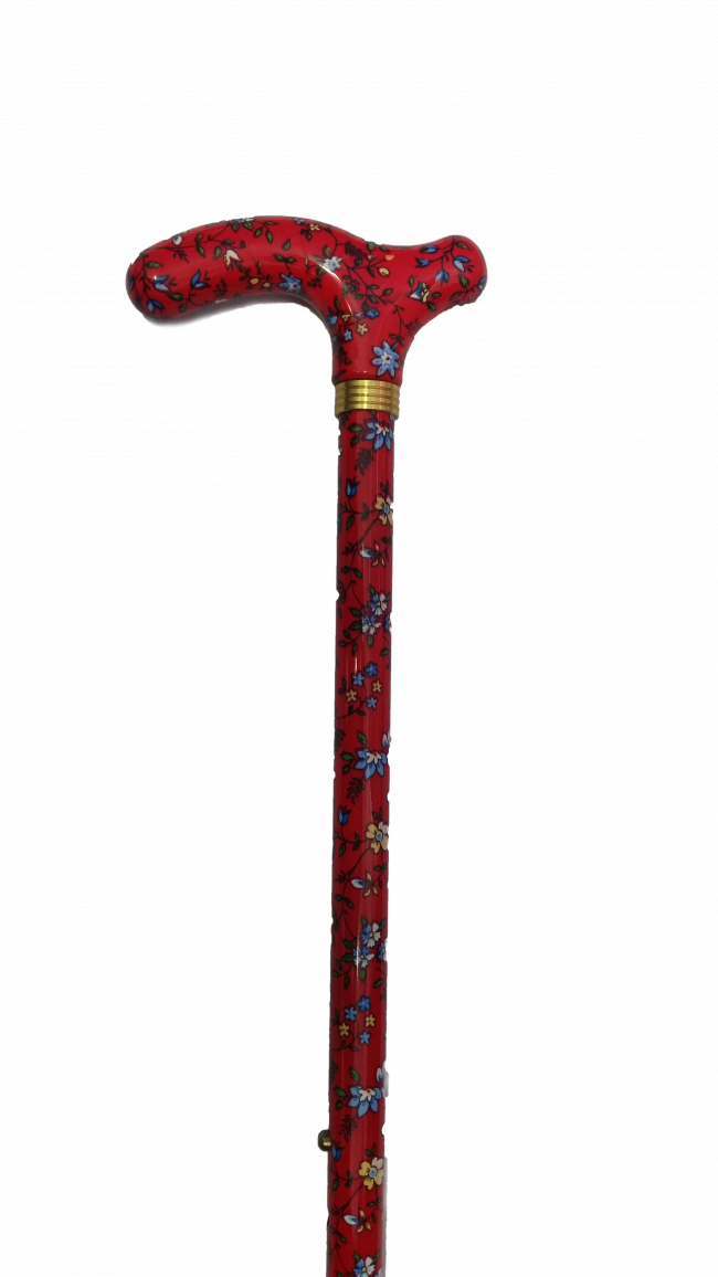 Walking Stick Free HQ Image Transparent PNG Image