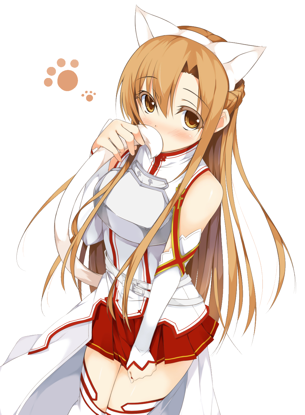 Asuna File Transparent PNG Image