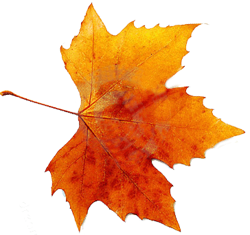 Autumn Free Png Image Transparent PNG Image