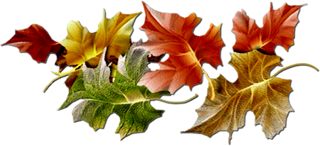 Autumn Png Hd Transparent PNG Image