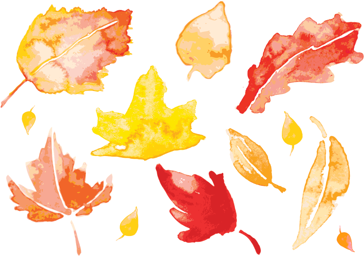 Autumn Falling Vector Leaf PNG File HD Transparent PNG Image