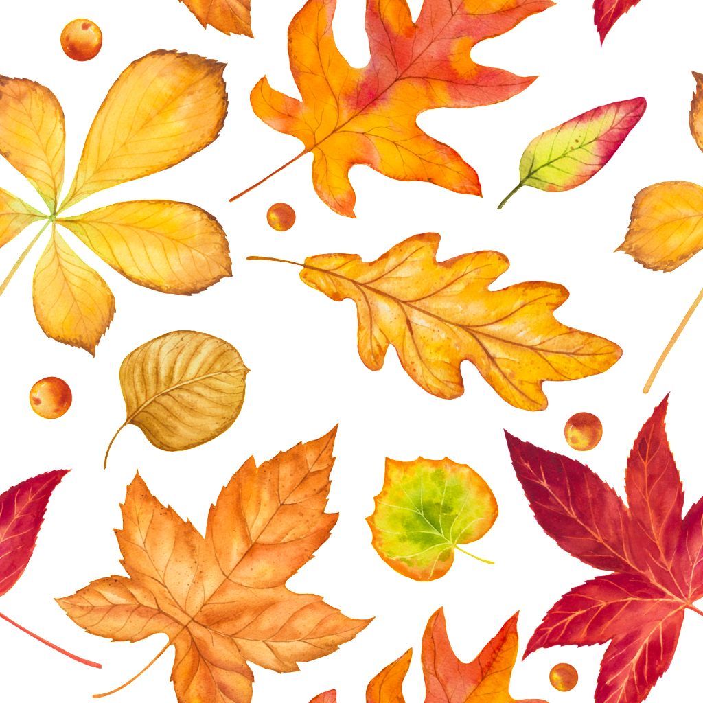 Autumn Falling Vector Leaf PNG Download Free Transparent PNG Image