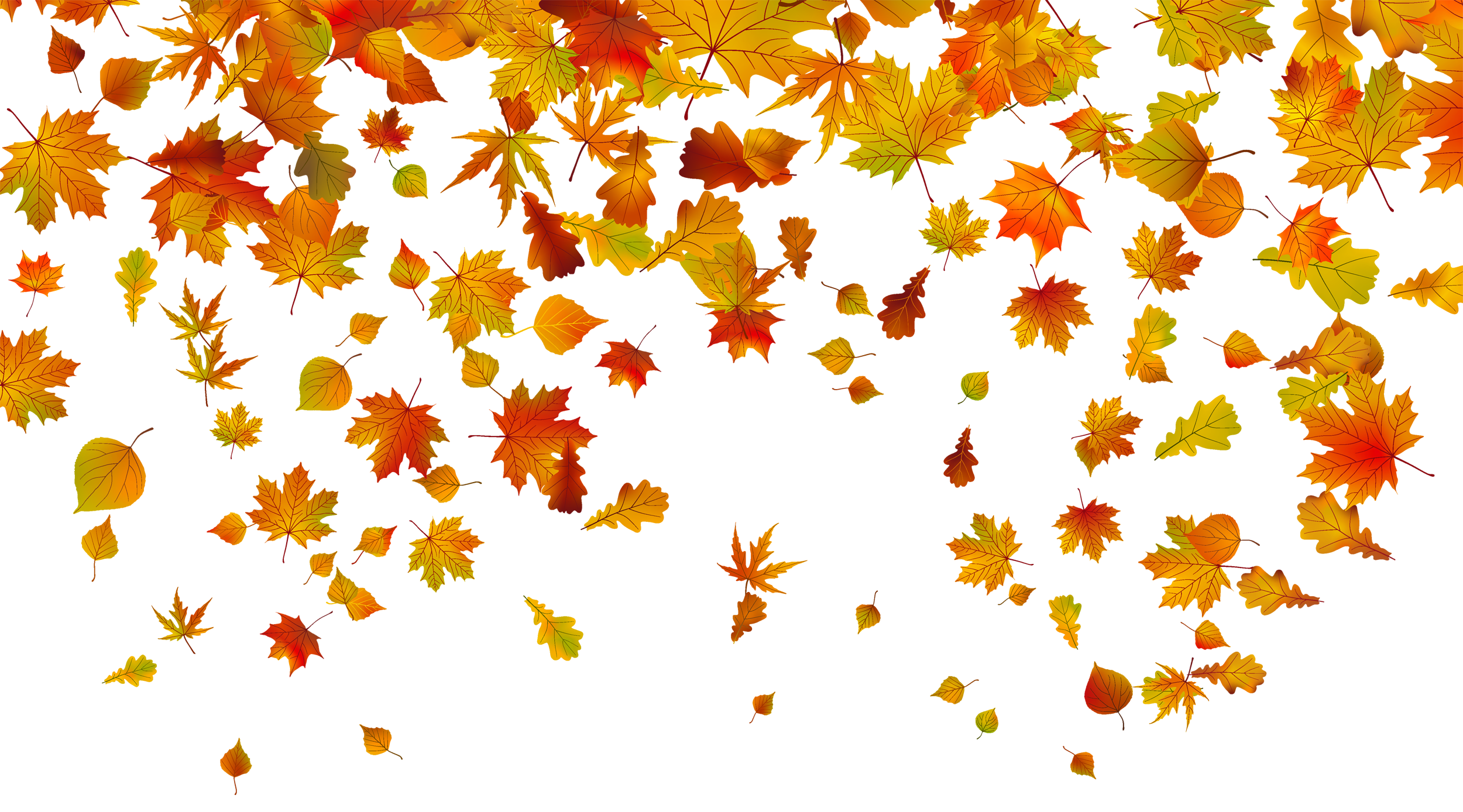 Autumn Falling Vector Leaf Download HQ Transparent PNG Image