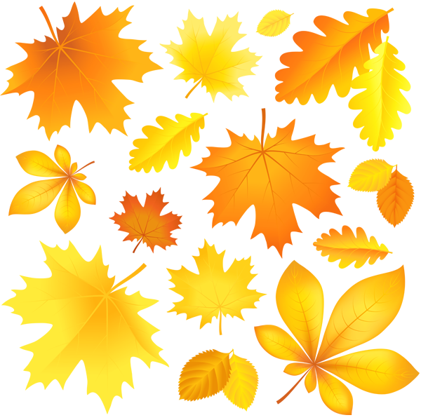 Autumn Falling Vector Leaf Pic Transparent PNG Image