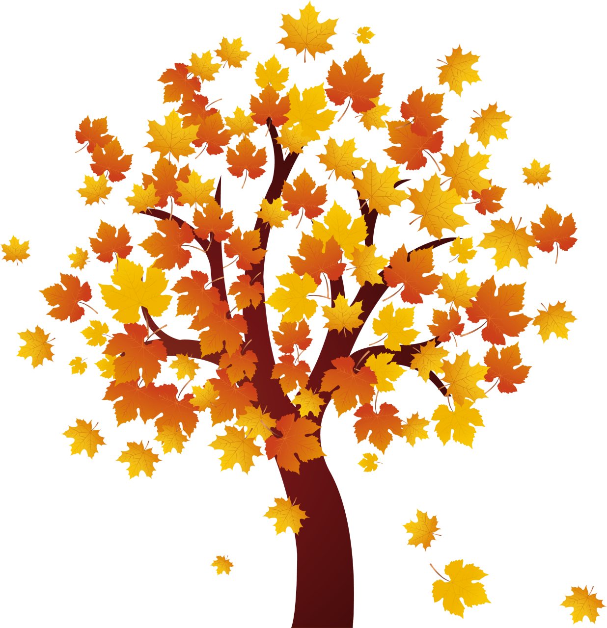 Autumn Falling Vector Leaf Free Download Image Transparent PNG Image