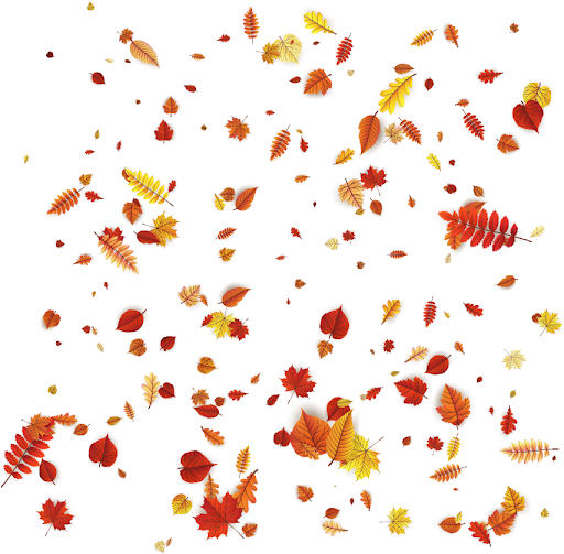 Autumn Picture Falling Vector Leaf Transparent PNG Image