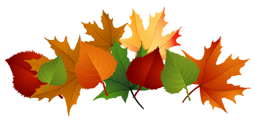 Autumn Falling Vector Leaf Free Download PNG HQ Transparent PNG Image