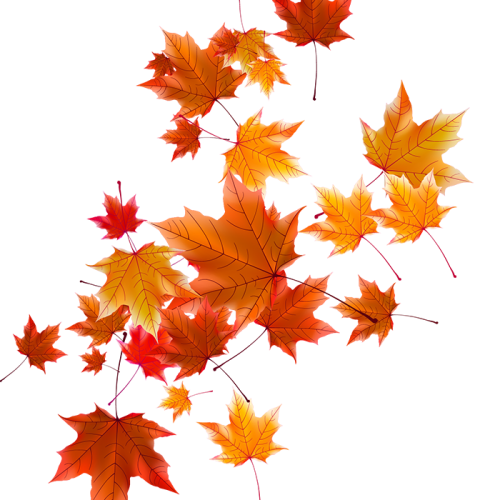 Autumn Falling Vector Leaf PNG Free Photo Transparent PNG Image