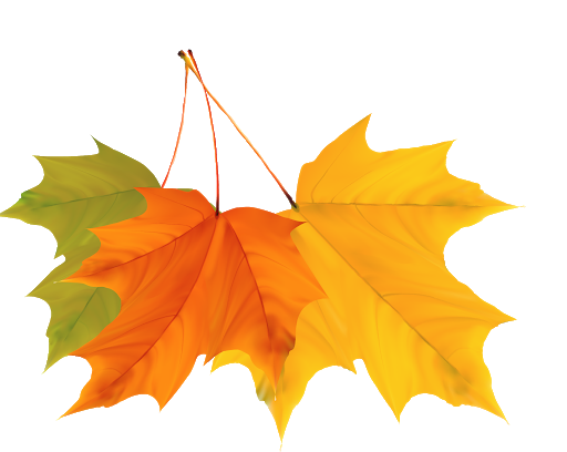 Autumn Vector Leaf Free Transparent Image HQ Transparent PNG Image