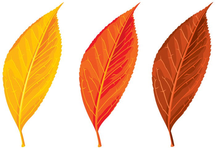 Autumn Vector Leaf Free PNG HQ Transparent PNG Image