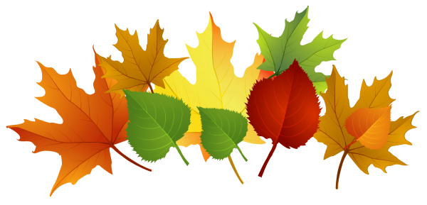 Autumn Vector Leaf Free Clipart HQ Transparent PNG Image