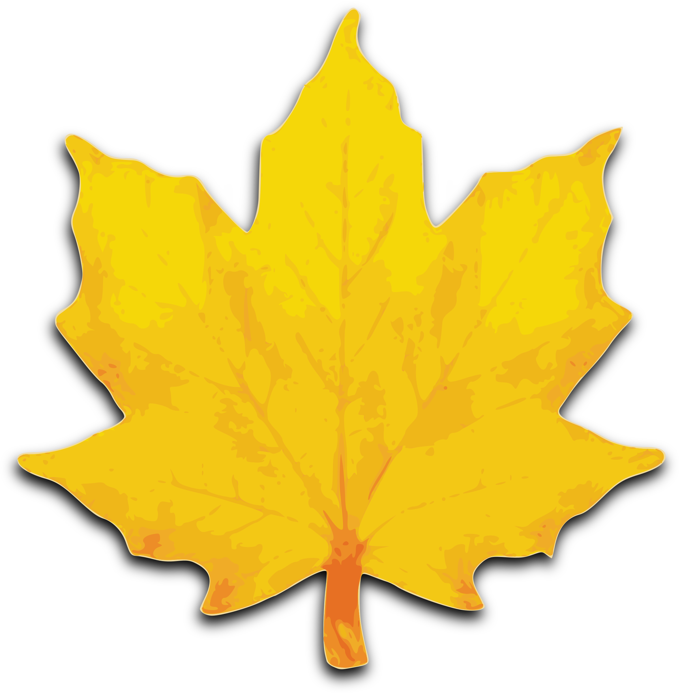 Autumn Picture Vector Leaf Free Photo Transparent PNG Image