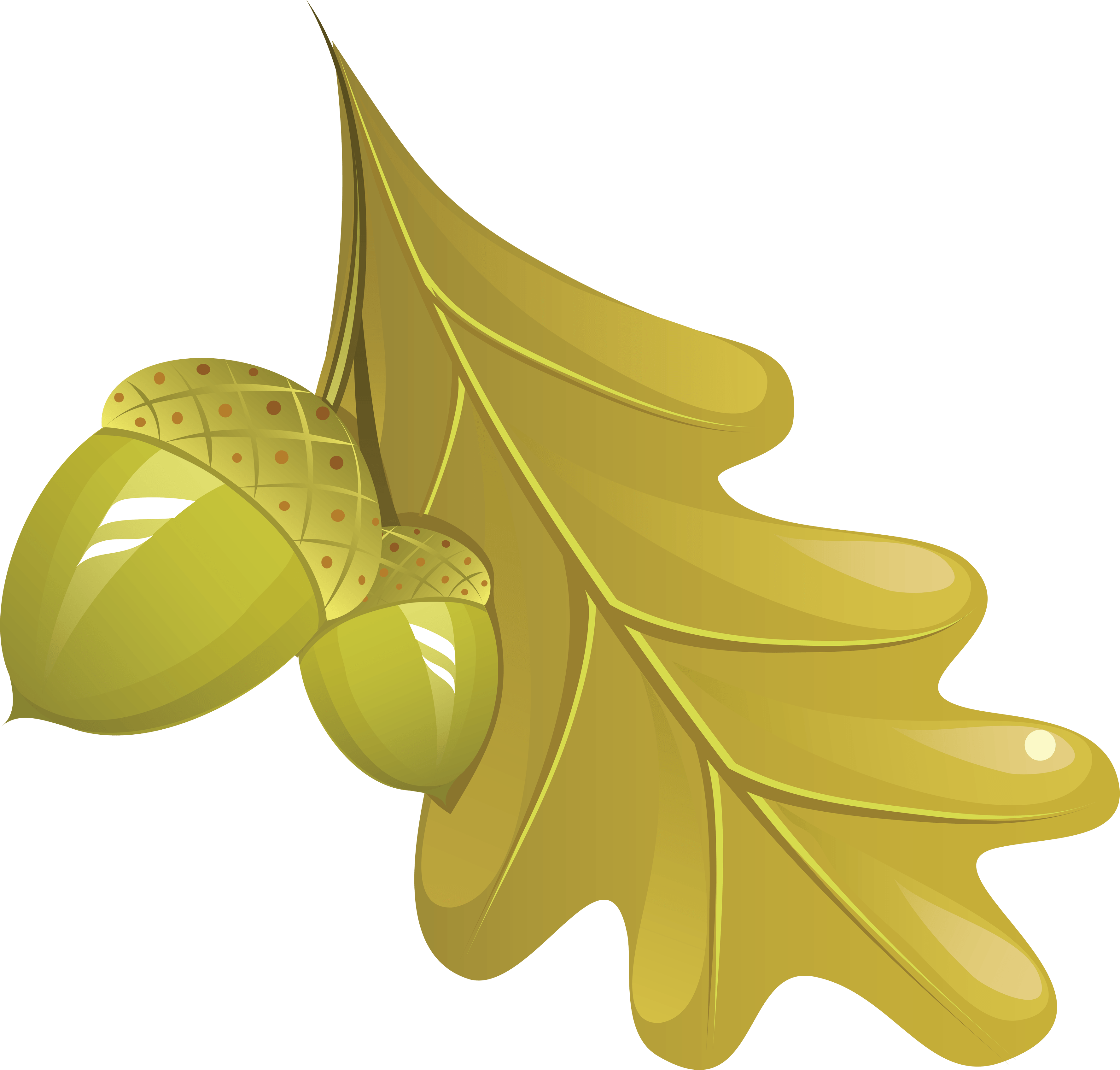 Autumn Png Leaf Transparent PNG Image