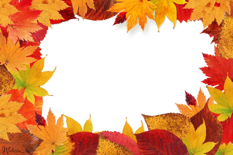 Autumn Leaf Frame Transparent PNG Image