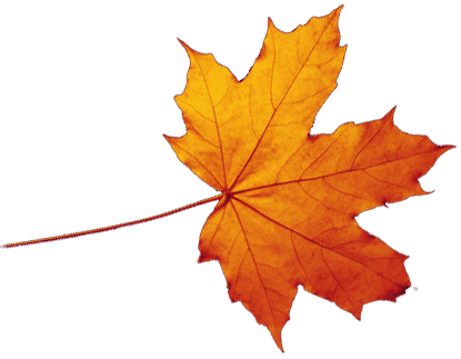 Transparent Autumn Leaves Falling Transparent PNG Image