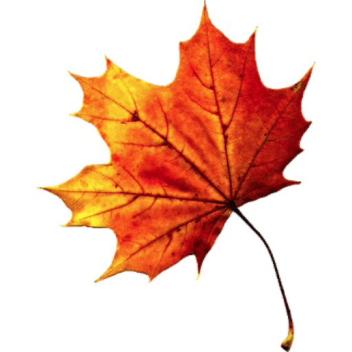 Fall Autumn Leaves Transparent Transparent PNG Image