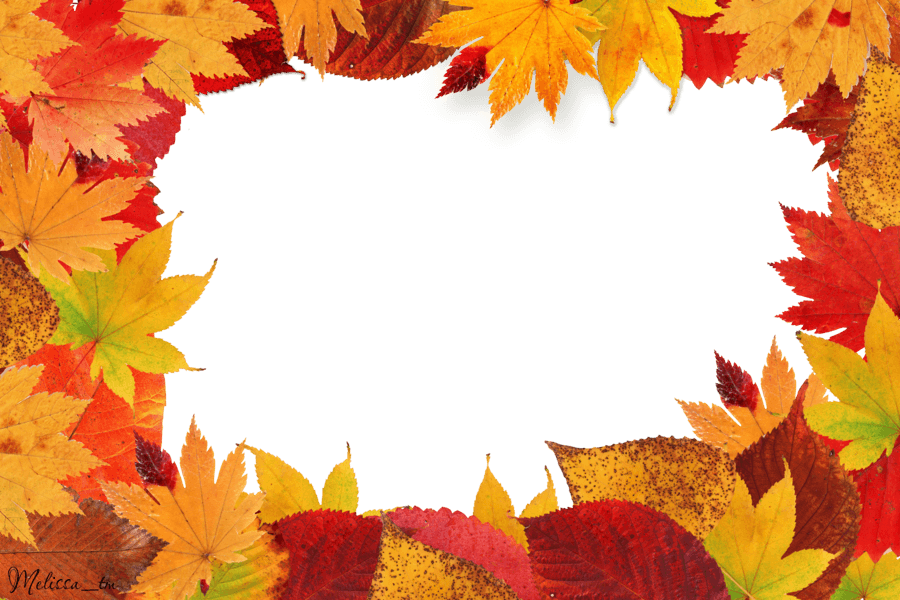 Autumn Leaves Frame Png Leaf Transparent PNG Image