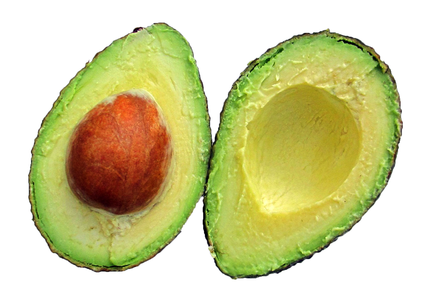 Avocado Half PNG Download Free Transparent PNG Image