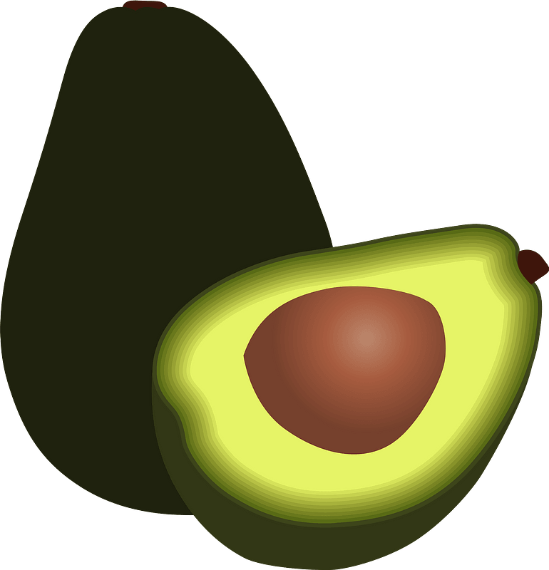 Picture Vector Avocado Download HQ Transparent PNG Image