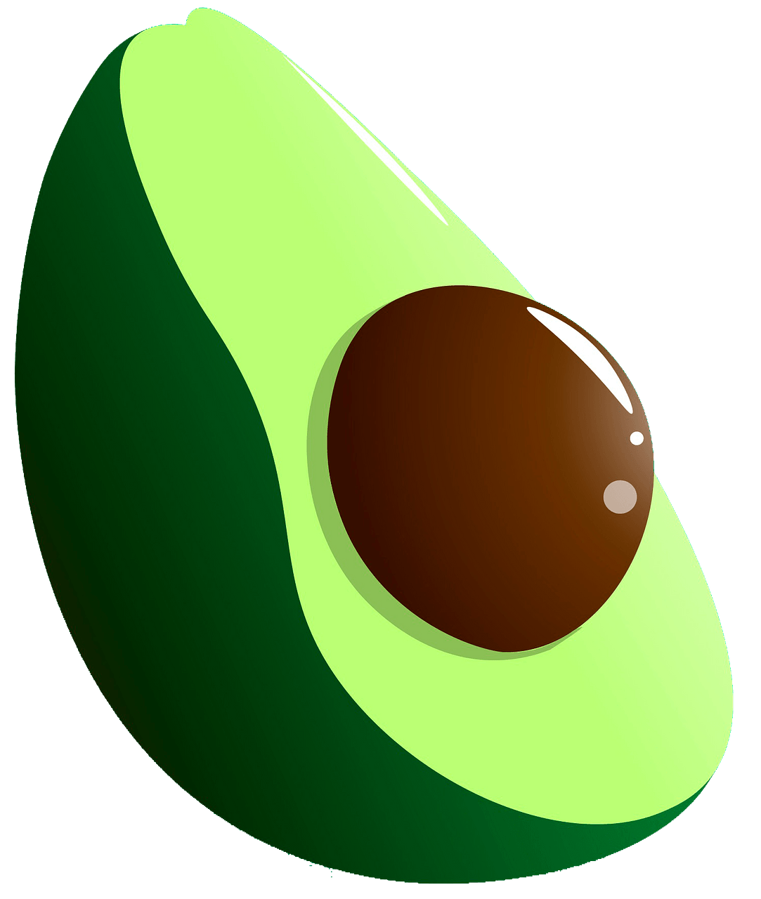 Picture Vector Avocado Download Free Image Transparent PNG Image