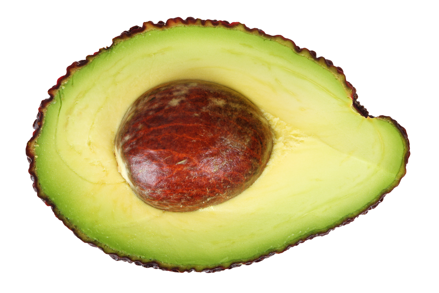 Avocado PNG Free Photo Transparent PNG Image