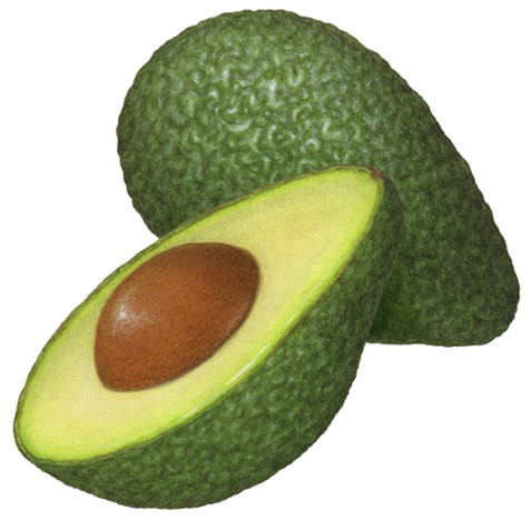 Half Avocado Free Download PNG HQ Transparent PNG Image