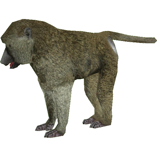 Baboon Png Clipart Transparent PNG Image