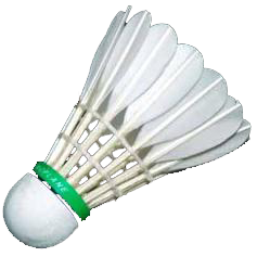 Badminton Transparent Transparent PNG Image