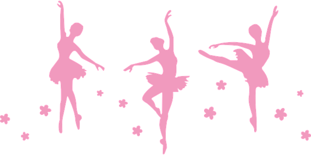 Ballet File Transparent PNG Image