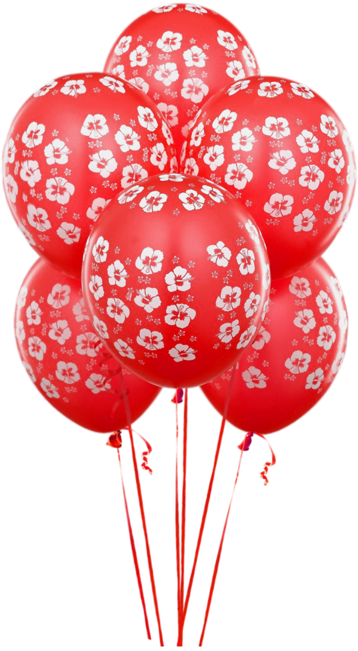 Balloon Birthday Balloons Transparent Red Free Transparent Image HQ Transparent PNG Image