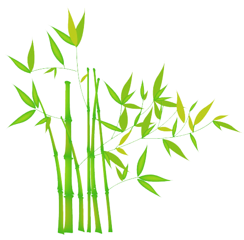 Bamboo Transparent Transparent PNG Image