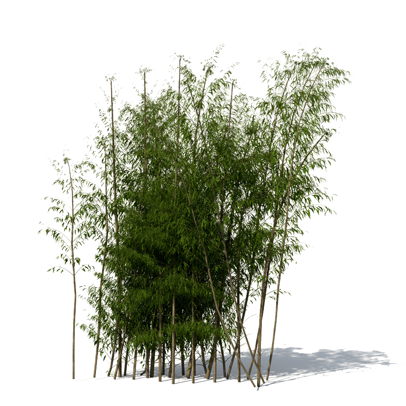 Bamboo File Transparent PNG Image