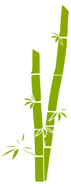 Bamboo Transparent Transparent PNG Image