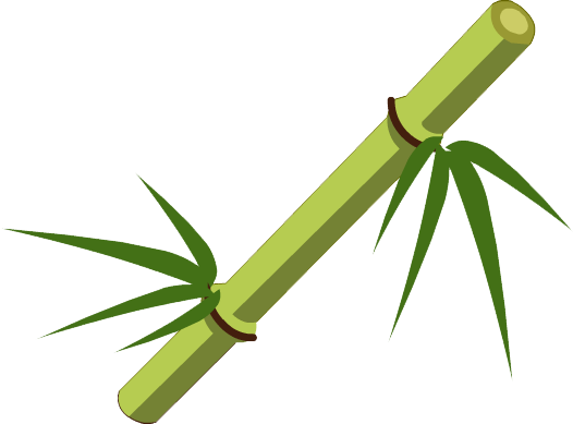 Bamboo Stick Transparent Image Transparent PNG Image