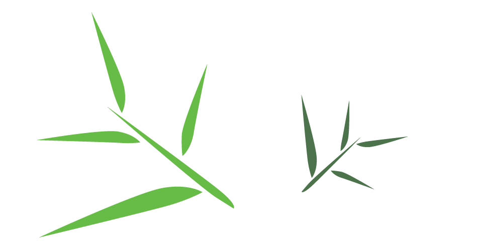 Bamboo Leaf Free Download Transparent PNG Image