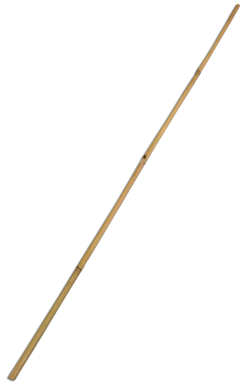 Bamboo Stick Picture Transparent PNG Image