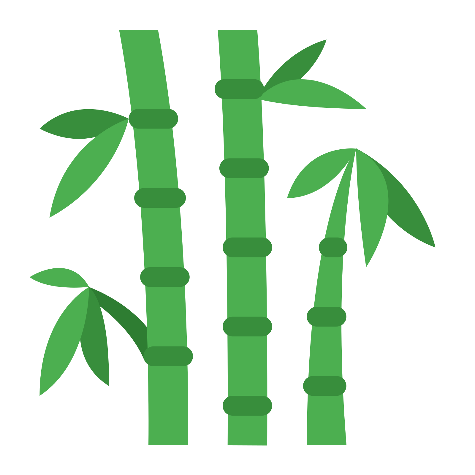 Bamboo Leaf Clipart Transparent PNG Image