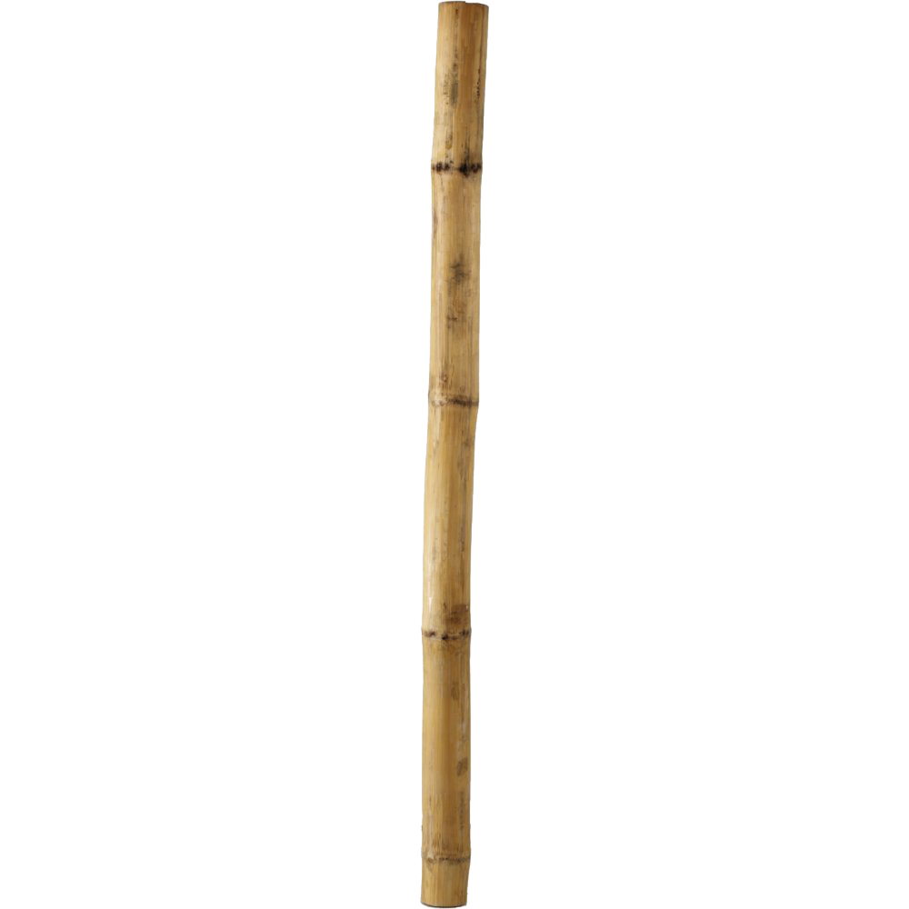 Bamboo Stick Transparent PNG Image