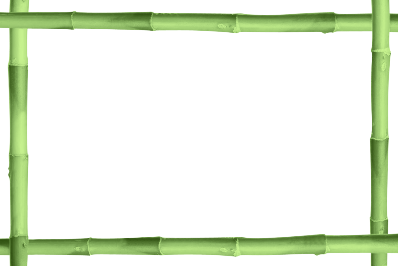 Bamboo Stick Photo Transparent PNG Image