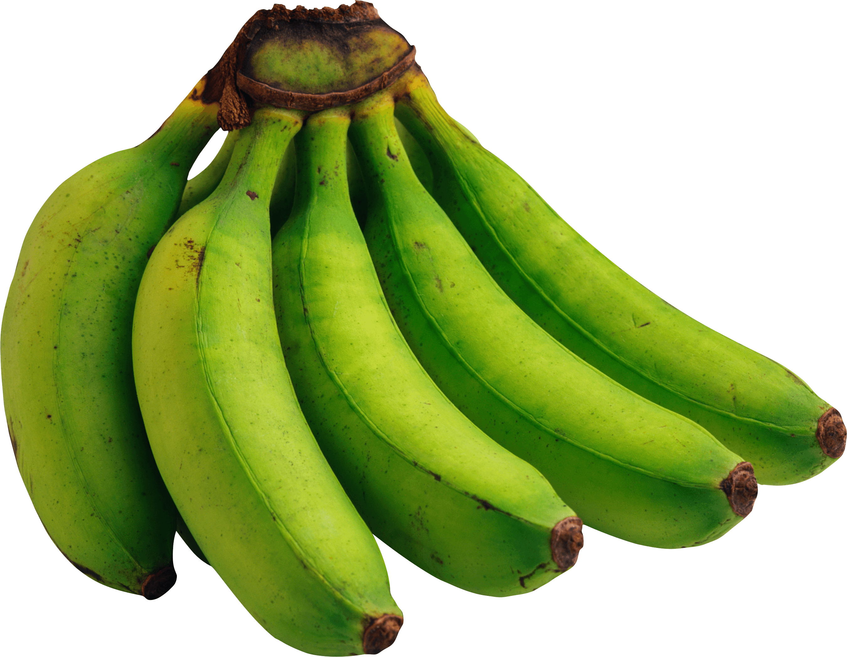 Green Bananas Png Image Picture Transparent PNG Image