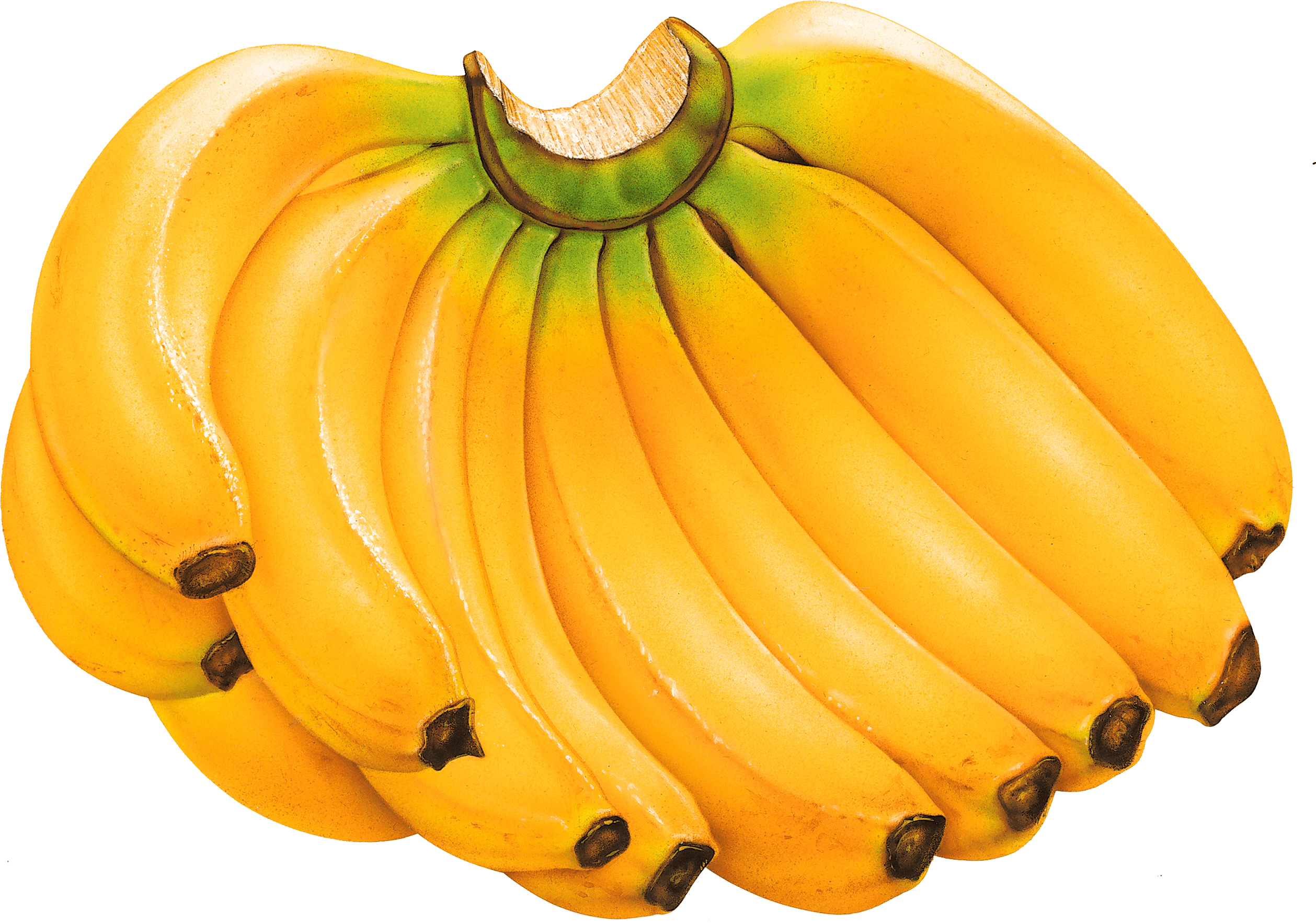 Banana Png Image Transparent PNG Image