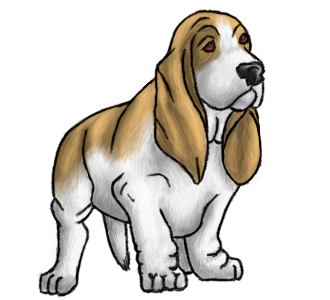 Basset Hound Transparent Transparent PNG Image