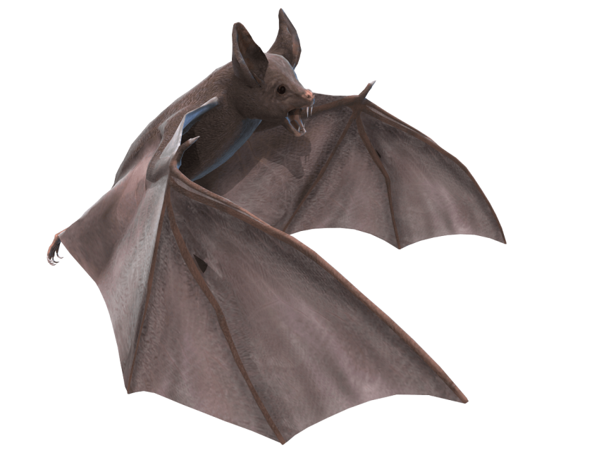 Bat Flying Free HQ Image Transparent PNG Image